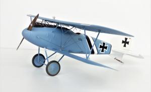 Galerie: Albatros D.III