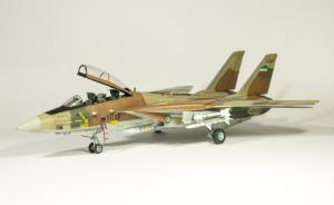 Bausatz: Grumman F-14A Tomcat