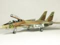 Grumman F-14A Tomcat (1:48 Hasegawa)