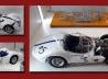 Der Maserati Tipo 61 - Birdcage -