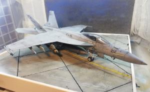 Bausatz: McDonnell Douglas F/A-18E Super Hornet