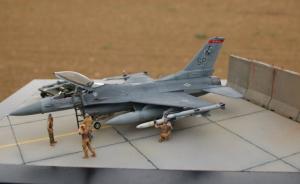 General Dynamics F-16CJ Viper Weasel