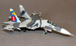 : Suchoi Su-30MK2 Flanker-G+