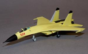 Shenyang J-11