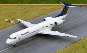 Galerie: Fokker 100