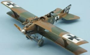 : LFG Roland C.II Walfisch