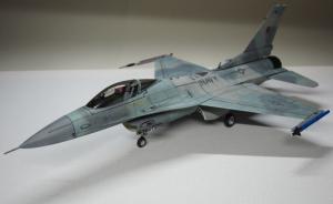 Galerie: General Dynamics F-16N Fighting Falcon