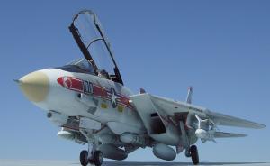 Grumman F-14A Tomcat