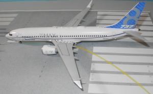 Galerie: Boeing 737 MAX8