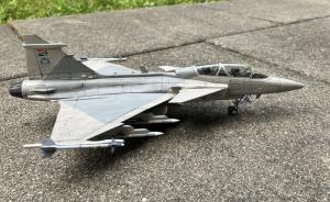 Galerie: Saab JAS 39 D Gripen