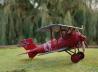 Siemens-Schuckert D.III
