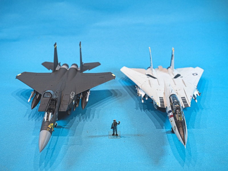 F-15E und F-14D Tomcat im Vergleich