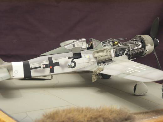 Focke-Wulf Fw 190 D-9