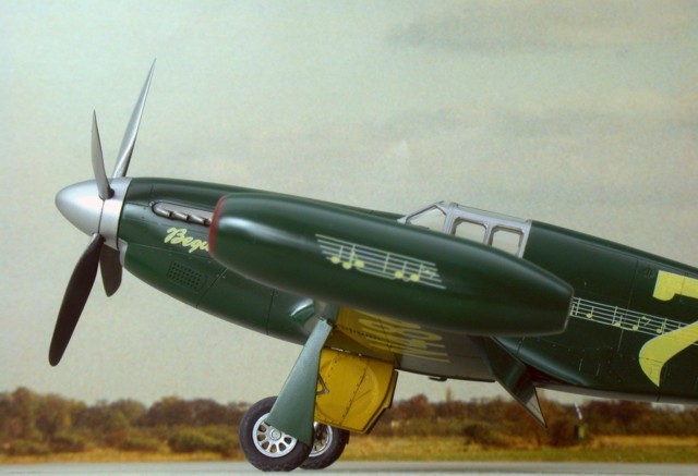 Race Mustang P-51 "Beguine"