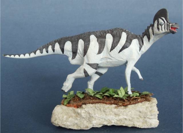 Corythosaurus casuarius