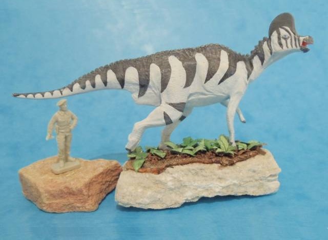 Corythosaurus casuarius