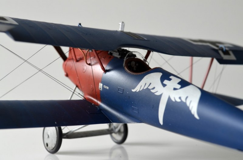 Pfalz D.IIIa