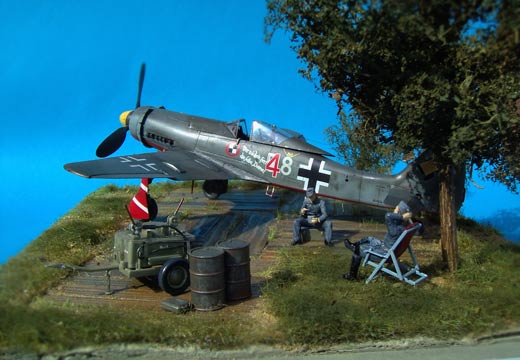 Focke-Wulf Fw 190 D-11