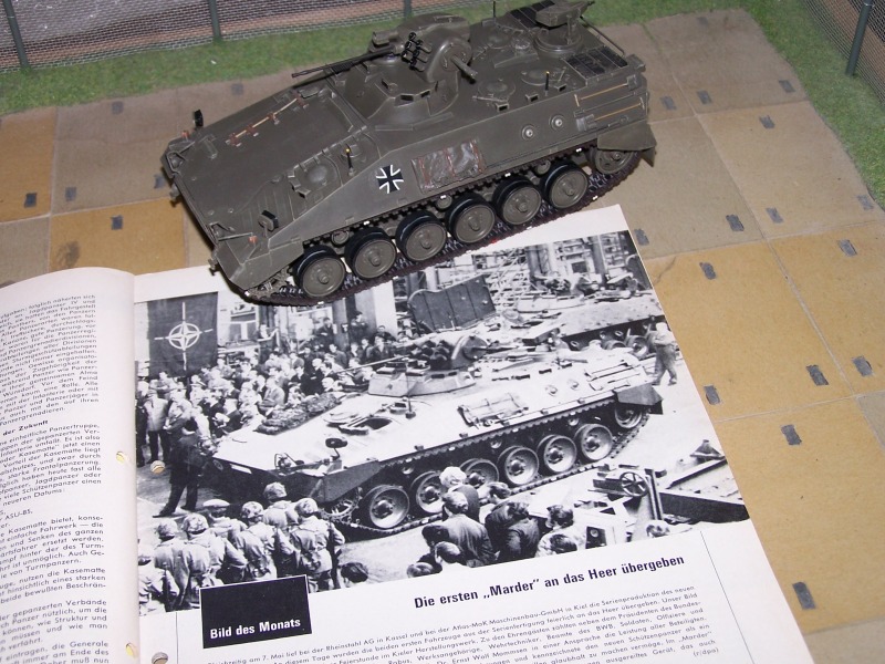 Marder