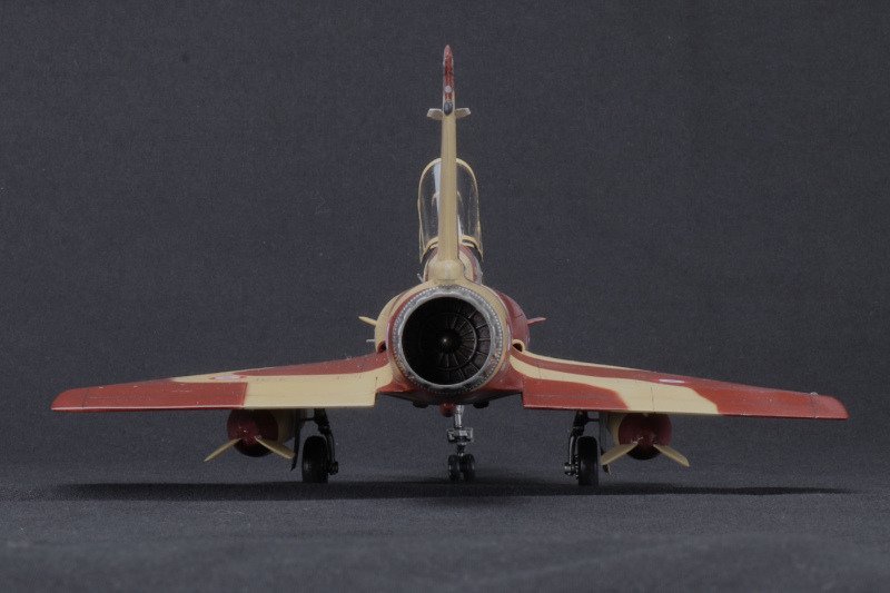 Dassault Mirage 2000D, verschiedene Hersteller 172 von Michael Eilers