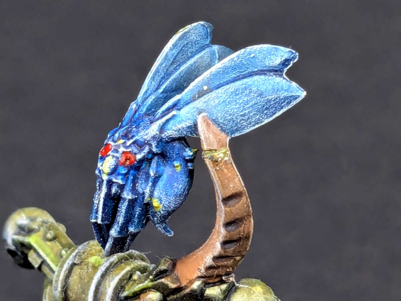 Champion der Seuchenmarines