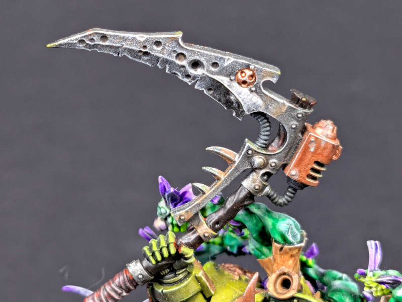 Typhus