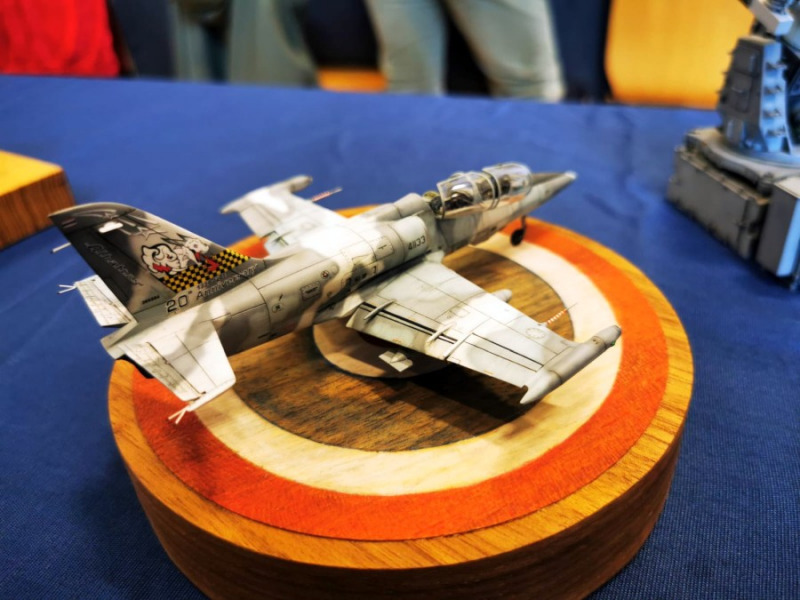 IKARUS Modellbauausstellung 23.03.2025, Teil 2