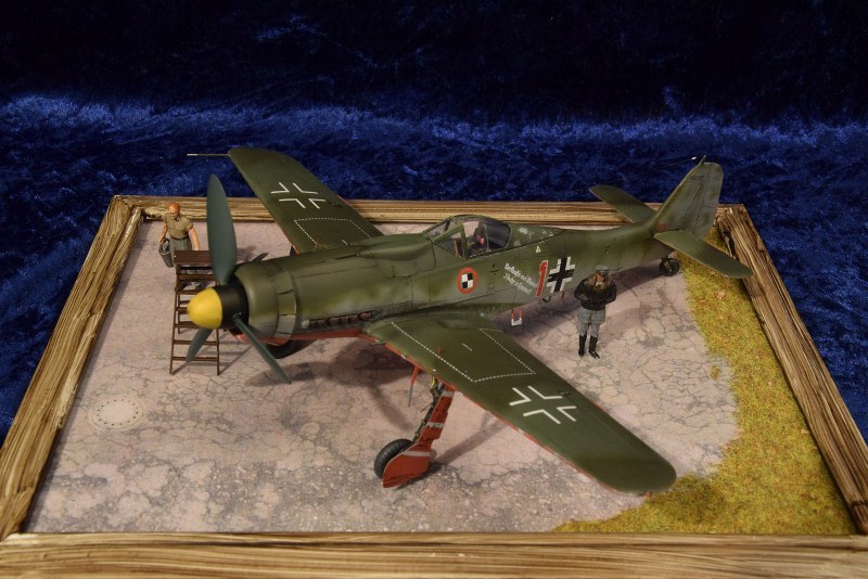 Focke-Wulf Fw 190 D-9