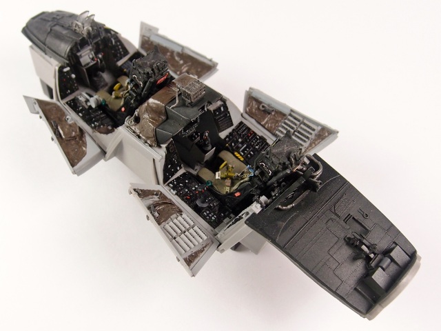 Grumman F-14D Tomcat Cockpit, Aires 1:32 von Walter Gagawczuk