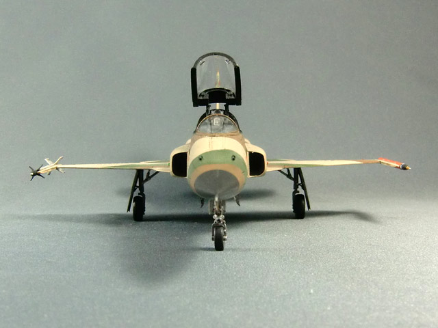 Northrop F-5E Tiger II