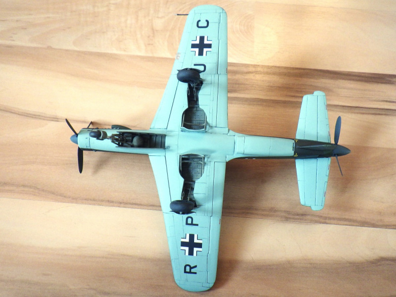 Dornier Do 335 A-1a