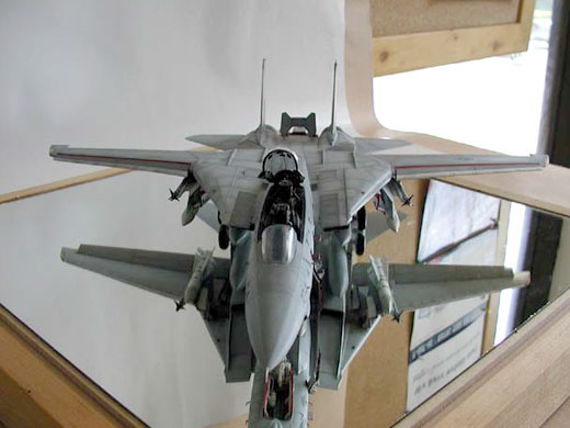 Grumman F-14D Tomcat