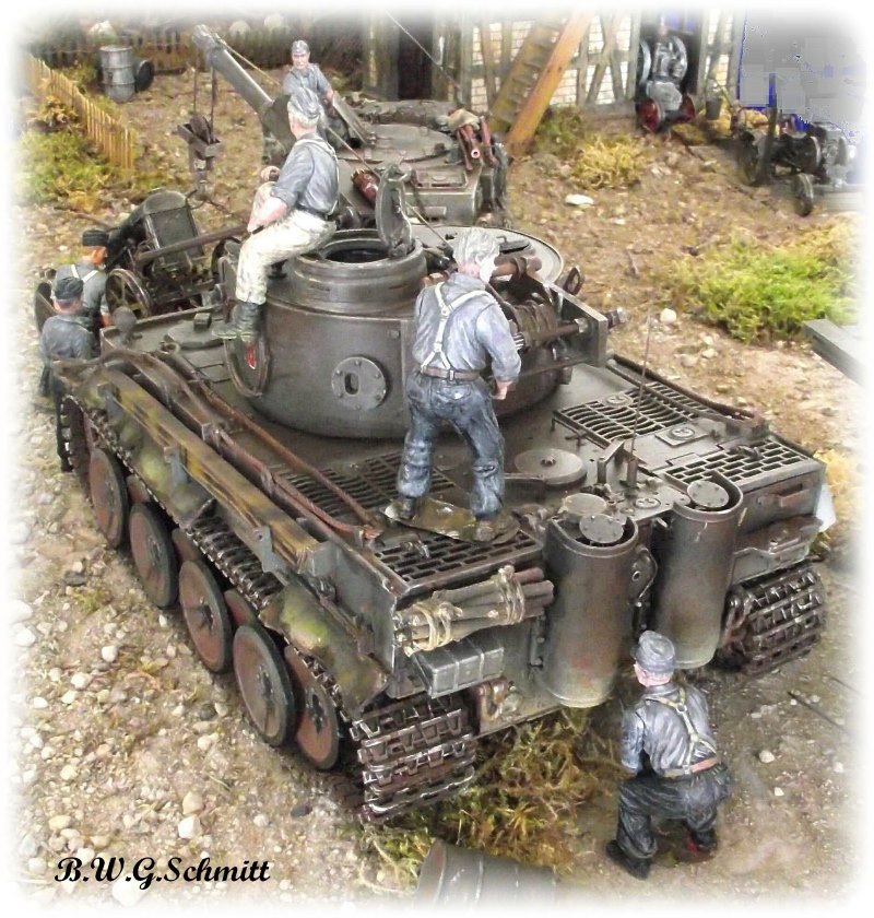"Berge-Tiger"