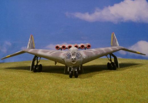 Arado Ar E.555