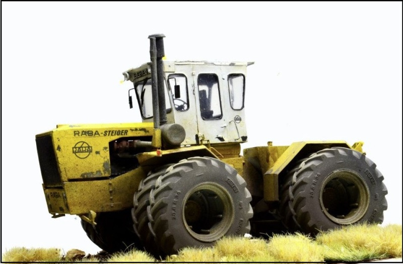 Raba Steiger 250 von Balaton Model 1:35