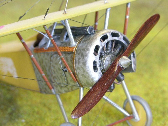 Nieuport Parasol