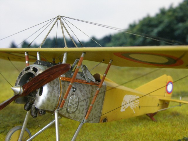 Nieuport Parasol