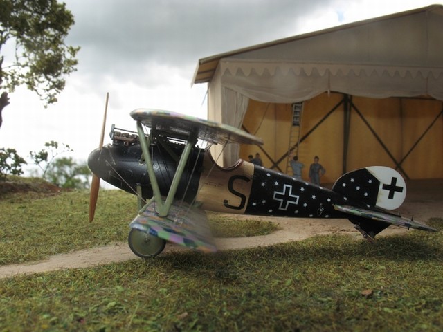 Albatros D.Va (OAW)