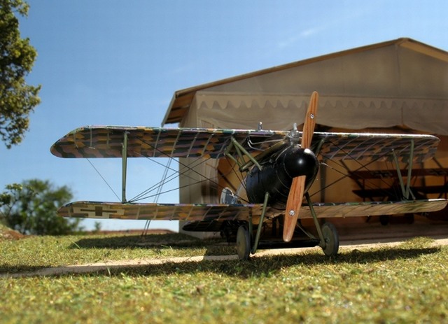 Albatros D.Va (OAW)