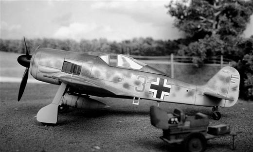 Focke-Wulf Fw 190 "Aces"