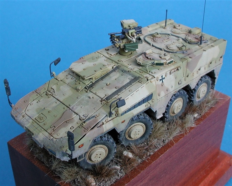 GTK Boxer GTFz A1, Revell 172 von Dirk Heyer