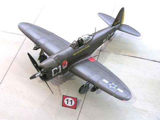 P-47 D-25 Brasilien von Hans-Jürgen Glück
