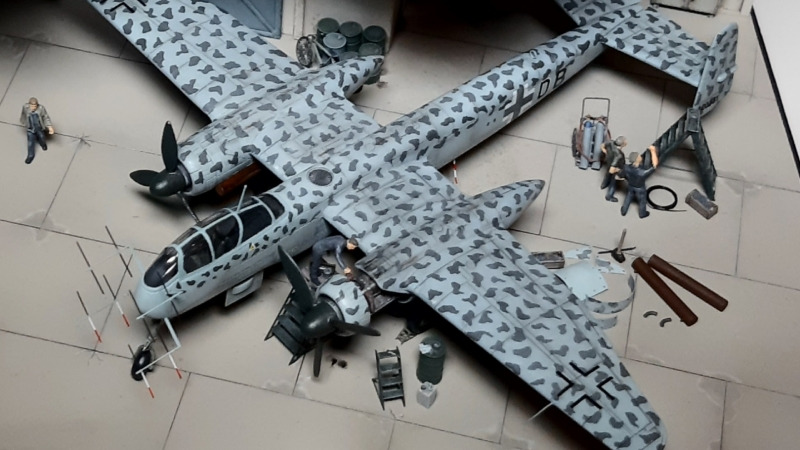 Heinkel He 219 A-5