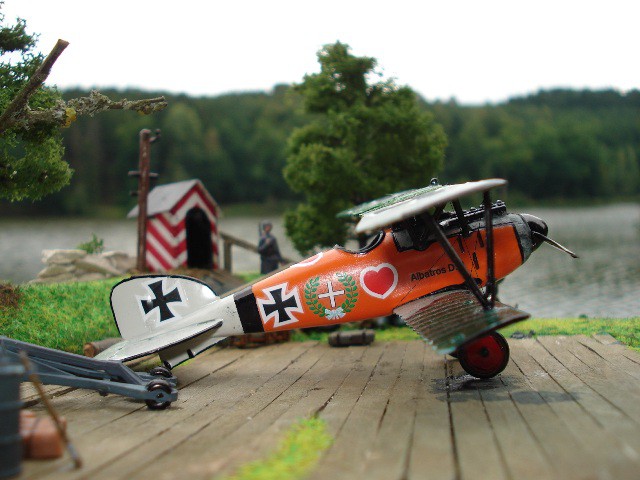 Albatros D.III