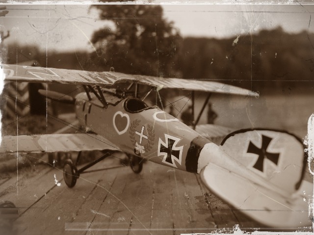 Albatros D.III