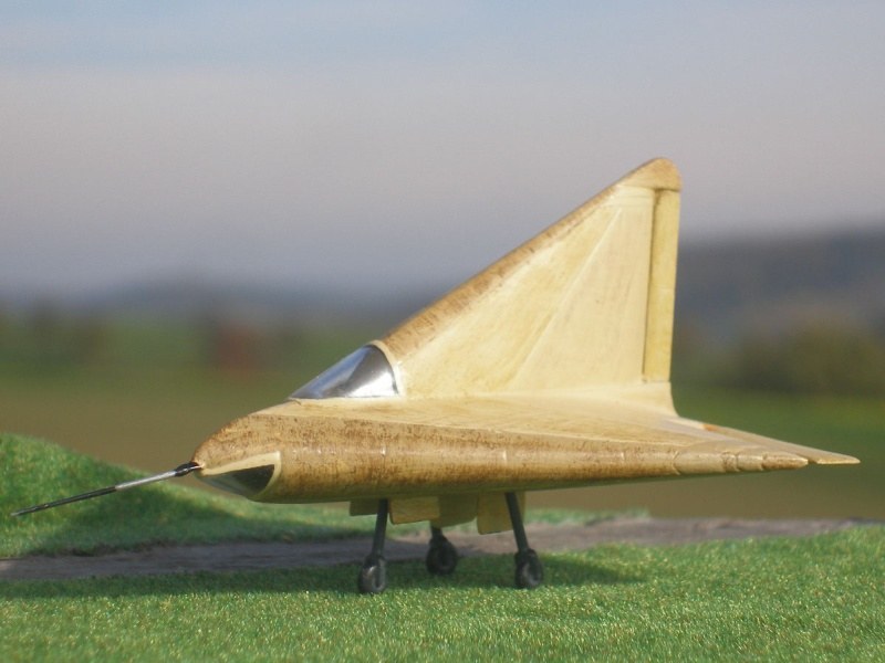 Lippisch DM 1