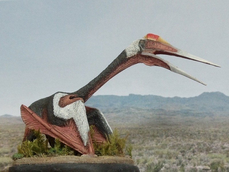 Quetzalcoatlus northropi