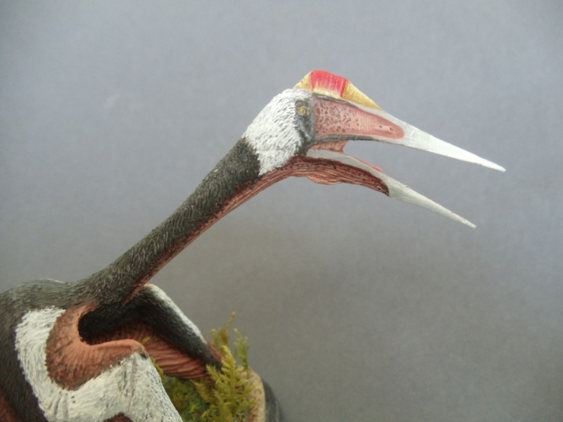 Quetzalcoatlus northropi