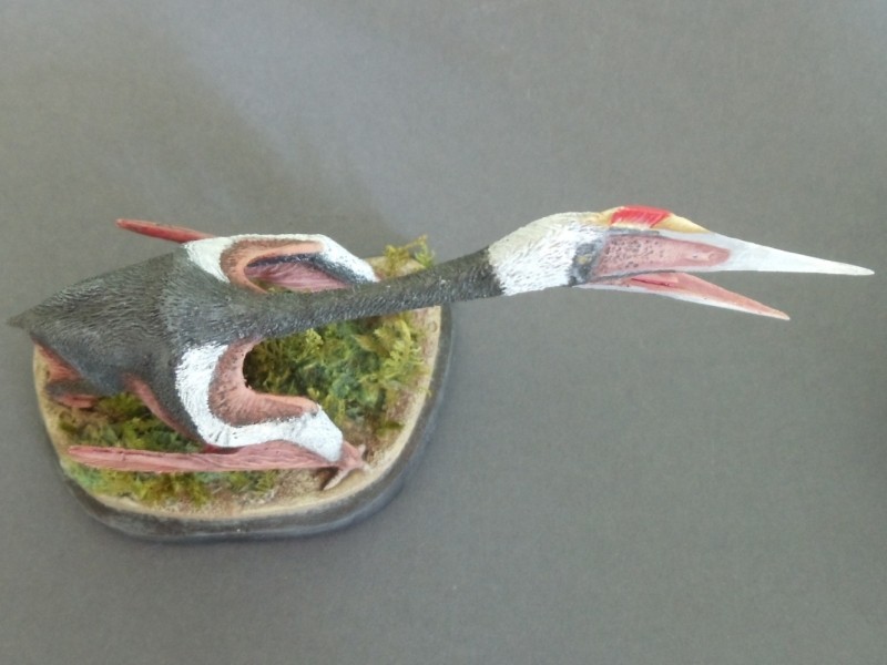 Quetzalcoatlus northropi