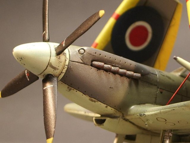 Supermarine Seafire Mk XVII